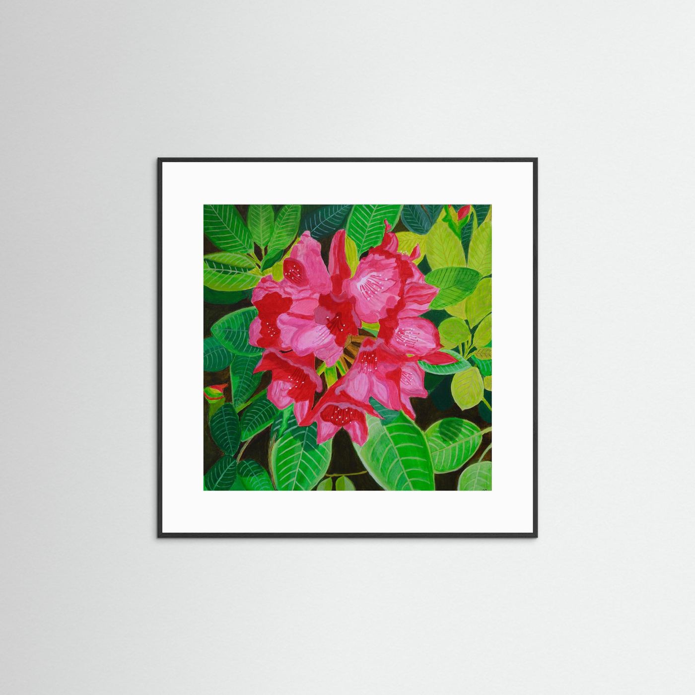 Éclat de Rhododendron floral fine art print by Nelleke Bruno featuring expressive pink rhododendron flowers, presented in a black frame with a white mat board.