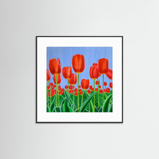 Eclat de Tulipes