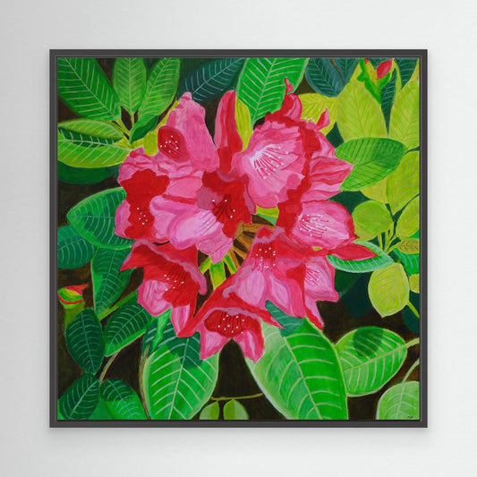 Eclat de Rhodondendron Canvas Print